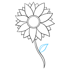 (helios means sun and anthus. How To Draw A Sunflower Really Easy Drawing Tutorial