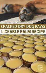 Diy Lickable Dog Paw Balm Soothing Recipe Shtfpreparedness Recipe Dry Dog Paws Dog Paw Balm Diy Dog Stuff