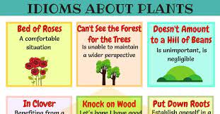 In alchemy, the rose was considered a flos sapientiae, a flower of wisdom and a picture of the clear mind. 15 Useful Trees Plants And Flowers Idioms In English 7esl