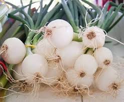 Cara kedua dengan mengupas kulit luar bawang putih, kemudian langsung di tanam di dalam tanah. Cara Paling Mudah Menanam Bawang Putih Tunggal Atau Bawang Lanang