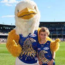 Inspired by the swan river and whadjuk lands, we're proud to present our 2018 indigenous guernsey! West Coast Eagles Mascot 1024x1024 Wallpaper Teahub Io
