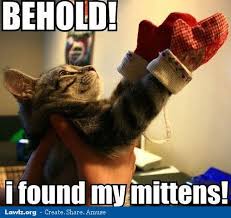Image result for hi meme