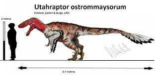 Utahraptor is the largest raptor yet discovered. Pin On Raptors