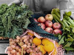 Image result for Protein