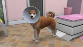 Image result