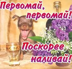Голосовые поздравления с 1 мая. 1 Maya Shutochnye Pozdravleniya I Prikolnye Otkrytki Info One