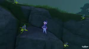 This is a liyue specialty that you can get in the wild in the locations mentioned above. Genshin Impact Violetgrass Farming Locations For Qiqi And Xinyan