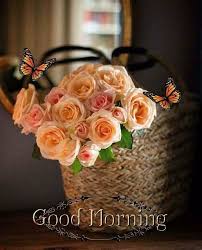 Good Morning Images Download Hd In 2020 Very Good Morning Images Good Morning Images Download Good Morning Flowers