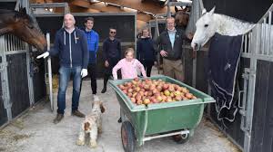 Vous le savez, chez animalaxy nous aimons tous les animaux, sans exception. Des Pommes Et Des Carottes Friandises Gratuites Pour Les Chevaux De L Armentierois