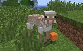 Open the crafting menu first, open your crafting table so that you have the 3x3 crafting grid that looks like this: Are Sheep Permanently Dyed Arqade