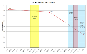 testing the testosterone hypothesis blood level results