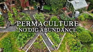It can be over weedy lawn, poor soil, good soil, or even concrete. Beautiful No Dig Permaculture Kitchen Garden Small Scale Potager Style Vegetable Garden Youtube