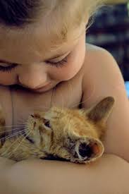 Kitty Snuggles Click For More Click Here To Find Out More Http Googydog Com With Images Cute Animals Cute Cats Cats
