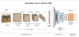 Последние твиты от cnn (@cnn). Convolutional Neural Networks Understand The Basics Of Cnn