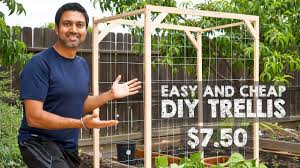 Diy network has instructions on how to make an inexpensive garden trellis for growing green the real goal is to have at least several inches of rebar threaded into the end of each pvc conduit pipe cucumbers do best if grown on a trellis. How To Make Easy And Cheap Trellis Youtube