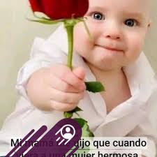 Diccionario Venezolano