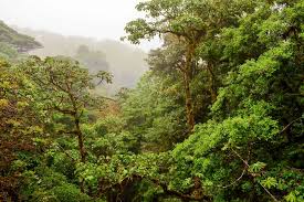 Officially part of france, mayotte is a small group of islands between mozambique and. Grande Terre Der Berg Benara Mayotte
