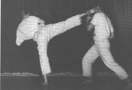 Pin By Jluigi On Martial Kicks Dinosaur Stuffed Animal Animals Dinosaur