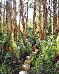 The forest is an open world survival horror game currently out on steam. Paperbark Forest Walk Australia Water Forest Places To Go