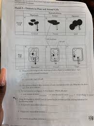 Maybe you would like to learn more about one of these? Osmosis Is The Movement Of Water From High Water Chegg Com