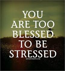 Caption a meme or image make a gif make a chart make a demotivational flip through images. Too Blessed To Be Stressed Quotes Quotesgram