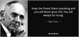Edgar cayce on angels, archangels and the unseen forces is the first book ever published that explores edgar cayce's readings on the angels and unseen forces, michael the archangel, and the role of guardian angels. Edgar Cayce Quotes Edgar Cayce Cayce Healing Modalities