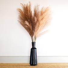 Maybe you would like to learn more about one of these? Faux Pampas Grass 6 Stems 48 Long Natural Color