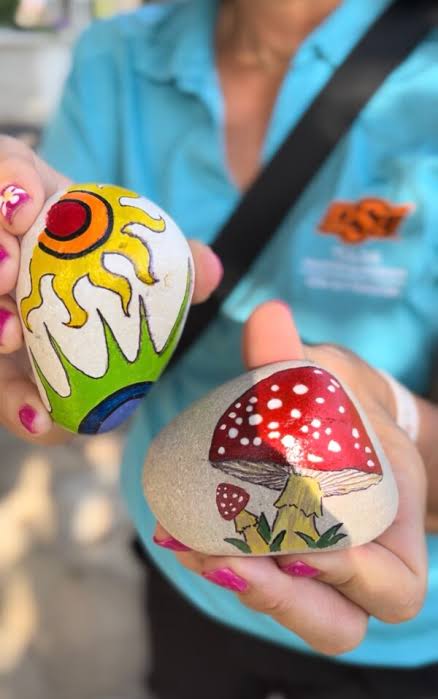 Drop A Rock Day - TulsaKids Magazine