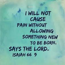 Intentional living is the art of making our own choices before. Pin On Because Love