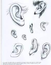 Pin On Drawing Ideas
