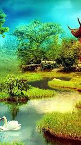 Amazing small bird hd wallpaper. Best Beautiful Nature Free Download Wallpapers Beautiful Nature Free Download Wallpapers Free Download Wallpaperkiss 1