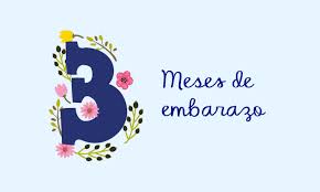Check spelling or type a new query. Tercer Mes De Embarazo Todos Los Consejos