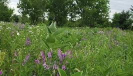 Rock County Conservationists’ Big Hill Hikes 2026