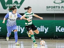 Seja bem vindo ao blog de informação do futsal feminino do nucleo chasa. Camarote Leonino