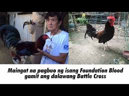 Purok #7 barrio halang alingaro road. Video Ronnie Magbalon