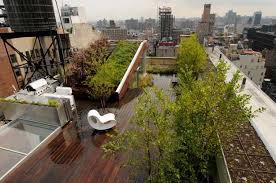 Homes with green roofs edgeland residence year of construction: Green Roof Design And Rooftop Garden Improve Modern Houses In Many Ways