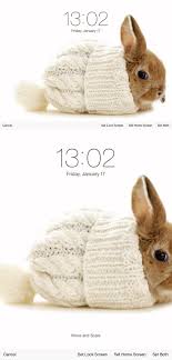 On The Ipad Mini With Retina Proper Wallpaper Size And A Case Koukoupuffs