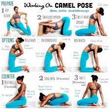 2 784 Likes 62 Comments Chelsea Seaman Chelseasyoga On Instagram How I Learned To Flip My Dog Into Wh Yoga For Beginners Yoga Tutorial Yoga Asanas