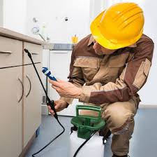 A genuine local pest control company. Restaurant Pest Control Melbourne Melbourne Vic Au 3000 Houzz