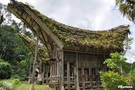 Hasil gambar untuk tongkonan