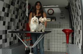 Dans votre magasin gifi, vous trouvez des milliers d'articles à prix bas pour la décoration et l'aménagement de votre maison : Sainte Helene Nouvelle Enseigne Toutou 039 Look Pour Chiens Et Chats A Domicile Le Telegramme