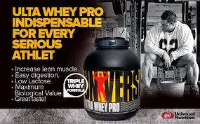 universal whey protein review