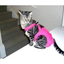 Joybies Hot Pink Piddle Pants Tm For Large Cat Measuring 17 19 From Collar To Base Of Tail All 4 Dog Cats Senior Cat Fancy Cats