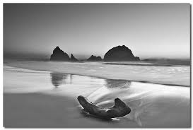 Untitled Black And White Beach Beach Photography Photo