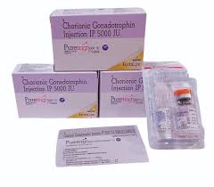Puretrig 5000 Iu Chorionic Gonadotrophin Injection 5000 IU at ₹ 550/piece | HCG Injections in Nagpur | ID: 2856430122997