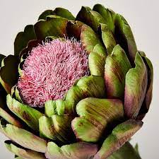Faux Artichoke Thistle Stem