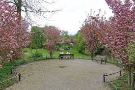 Im pflanzenschauhaus des botanischen gartens in dortmund entfaltet sich die titanenwurz seit dem mittag langsam. Eghn Botanischer Garten Rombergpark