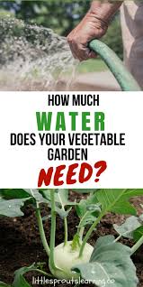 In my opinion, as a gardener, the best practice is to use a soaker. How Much Water Does Your Vegetable Garden Need Watering Once A Week Is The Best Pra Vegetable Garden Planner Backyard Vegetable Gardens Organic Gardening Tips