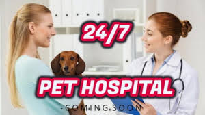 Vrcc is committed to continuing to provide the highest quality care of services for your pet, and we remain open and will continue to be available for your pet's specialty care needs, as well as 24/7 emergent needs that may arise. 24 Hour Vet Newcastle Uk Emergency Pet Hospital Newcastle Area Youtube