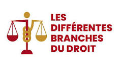 Les différentes branches du Droit | Aideauxtd.com